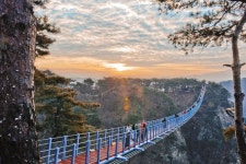 [문화관광 제일도시 원주] 출렁다리 걷고, 밤엔 나오라 쇼···소금산 그랜드밸리 전면 개장
