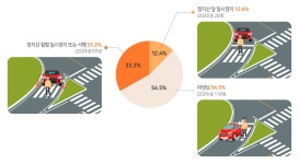 교통섬에서 길 건너려는 보행자 위해 멈춘 차는...겨우 0.8%