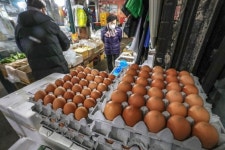 계란값 도로 6000원대, 설 앞두고 장바구니 물가 비상