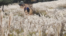 해운대 장산(長山) 정상, 6·25이후 70여년만에 개방