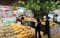 새해부터 대형마트서 반값 한우 행사…초특가 상품 또 뭐있나