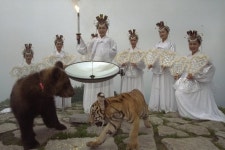 올림픽 마스코트부터 만병통치약까지…호랑이의 해, 우리 문화 속 호랑이는?