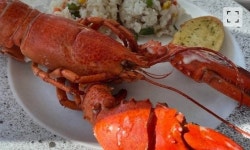 소액주주 울때 우린 랍스타, 부럽지? 오스템 직원의 조롱