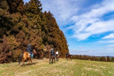 노루만 있다…제주 몰려간 25만명은 모를 진짜 비밀 명소