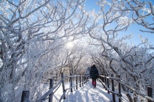 겨울이 더 인기인 이 산…오늘 가면 상고대 볼 수 있나요? [영상]