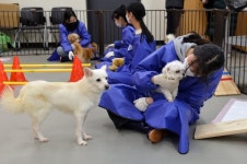 절반 죽는 악취 속 뜬장 동물보호소...직영 전환에 놀라운 반전 [르포]