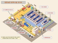 육지에 돼지 날랐는데… 백령도 돼지농장 눈물의 폐업 왜