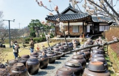 [사진] 논산 명재 고택에 찾아온 봄
