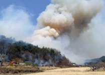 산림청, 경북 봉화 산불 2단계 발령…진화 작업 중