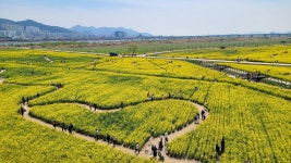 [포토버스] 때 이른 초여름 날씨, 전국 명소엔 상춘객 북적북적