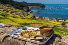 3년 만에 열리는 서편제 그 섬…노란 유채꽃, 시간도 쉬어간다