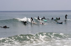 “수학여행·단체관광 잡아라”…‘코로나 해방’에 들뜬 동해안