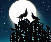 [안태환의 의학오디세이] 엘리트와 이리떼