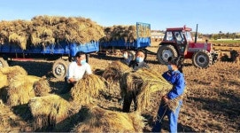 CIA “북한 식량 2∼3개월치 부족…열악한 식품 섭취 문제 겪어”