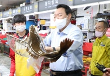 낙지 잡아들고, 회덮밥 비벼 먹고…자갈치 시장 찾은 윤 대통령 [포토버스]