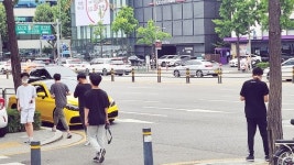천사 울음 들어보신 분?…10대들이 도산대로 점령한 까닭