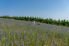 해 질 때 논두렁의 비밀 드러난다…MZ 몰려간 노잼의 땅