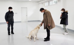 한국탐지견·반려견아카데미학원 | [포토버스] 한 평생 헌신해온 마약 탐지견 벨라의 견생(犬生) 2막을 응원해요