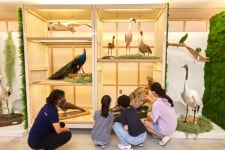 [소년중앙] 생동감 넘치는 생명의 기록, 미래까지 전한다 동물 표본