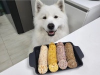 [쿠킹] 댕댕푸드대첩 우승…강아지 입맛 사로잡을 초간단 레시피