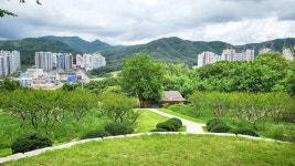 부산 기부왕 마지막 꿈 무너진다…경암숲 앞 기막힌 땅싸움