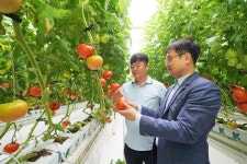 “토마토 없는 햄버거? 노브랜드버거에선 NO!”…스마트팜 가보니 이유 있었다