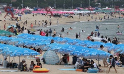 장관은 발전소 차관은 원전으로…무더위에 산업부는 진땀