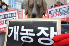 ‘개고기 안돼, 저리 가’ 초복 맞춰 퍼포먼스 벌이는 동물단체들
