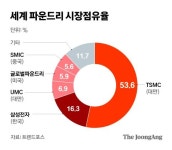 [단독] TSMC 韓공장도 없는데…GAA 특허 삼성보다 많다 왜