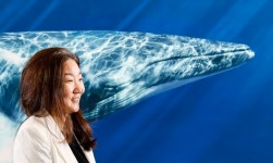 롤 말고 밤샘 최수연 공감 우영우 디테일 살린 윤지효 변호사 [Law談인터뷰]