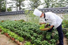 서울 한복판에 꿀벌 15만마리...‘파란눈 양봉가’ 놀라운 정체