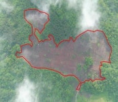 나무 1만그루 베자 땅값 4배 뛰었다, 제주 세계유산 충격 훼손