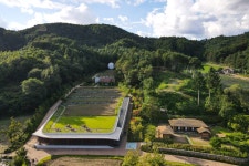 축제 없어도 메밀꽃 물결친다…이 가을, 봉평을 즐기는 법