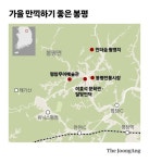 축제 없어도 메밀꽃 물결친다…이 가을, 봉평을 즐기는 법