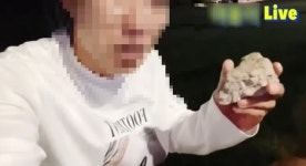 짱돌로 한방에 보냈다 천연기념물 수리부엉이 내쫓은 유튜버