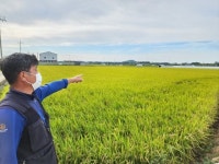 2.5만평 농사 풍년인데 年1200만원 벌 판 농민들 호소 [르포]