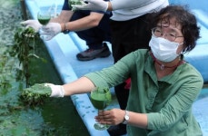 낙동강 메기 매운탕 어쩌나…100도서도 못없애는 독소 검출