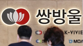 쌍방울 돈 이렇게 北갔나 