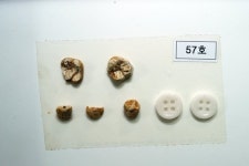 배고파 쥐 먹다 죽은아이도…선감학원 40년 만에 피해자 인정