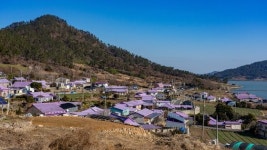 보라색 옷 입고 가니 입장료 공짜…가성비 넘치는 여행 명소