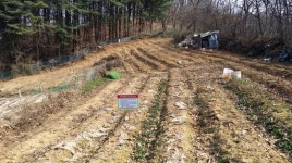 국유림 농장건물 1억에 팔고선…10년뒤 나가라 소송한 전말 [그법알]