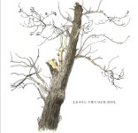 [소년중앙] 가구·악기로 변신…긴 세월 우리와 함께한 오동나무