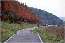 [조용철의 마음풍경] 노을빛 가을이 달려가네