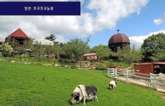 “스마트팜에 호텔이?”...축구장 19개 크기 한국형 ‘모쿠모쿠 농장’ 추진