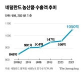 작은 땅덩어리서 세계3위 수출 기적…농업 강국 네덜란드 비결