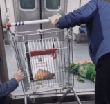 지하철에 낀 쇼핑카트 스파크…노인은 배추만 챙겨 사라졌다