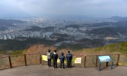 둘레길 원조는 대전…국가숲길 중 유일, 도심서 山 20개 탄다 [e즐펀한 토크]