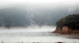 달리던 25톤 덤프트럭 호수로 추락…운전자는 차 안에 없었다