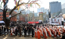 [포토타임] 겨울 나기 위해 우리나라 찾은 독수리