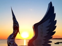 서해 일출 명소 당진 왜목마을, 올해도 해맞이 축제 안 한다